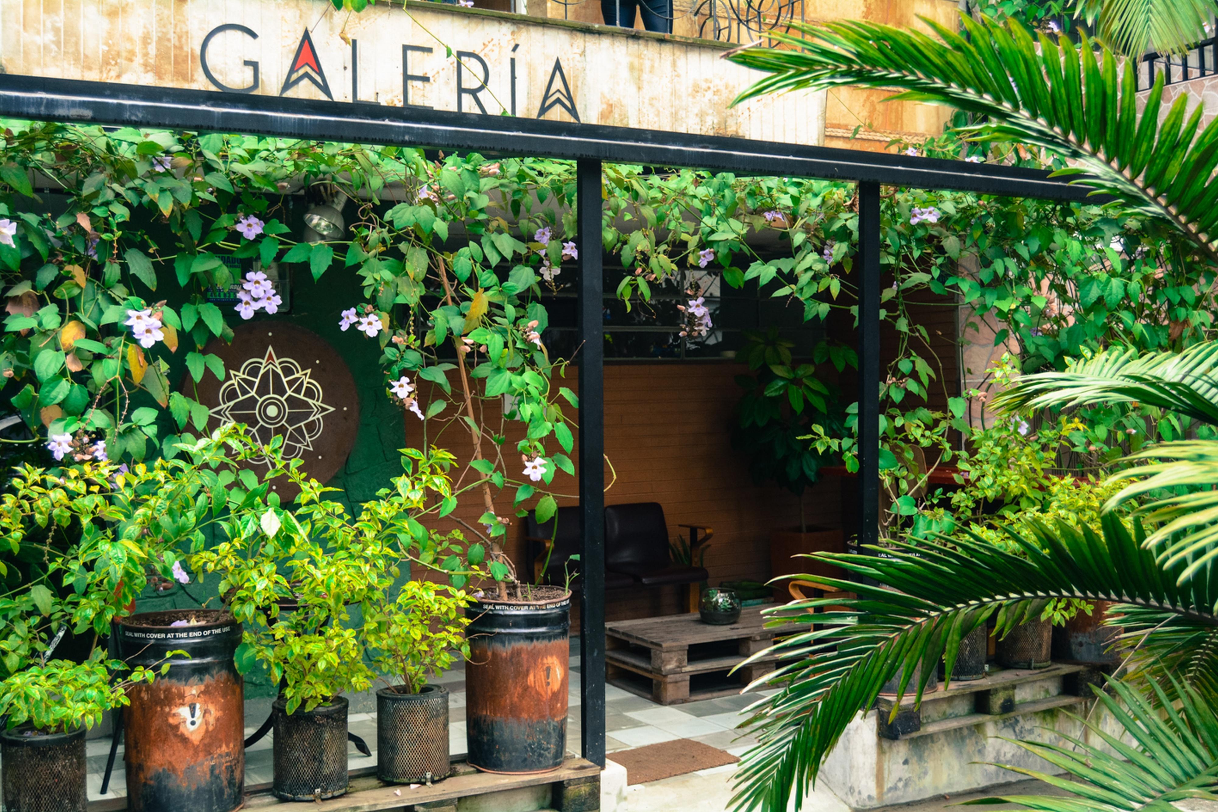 Hostal Casa Estacion Μεντεγίν Εξωτερικό φωτογραφία