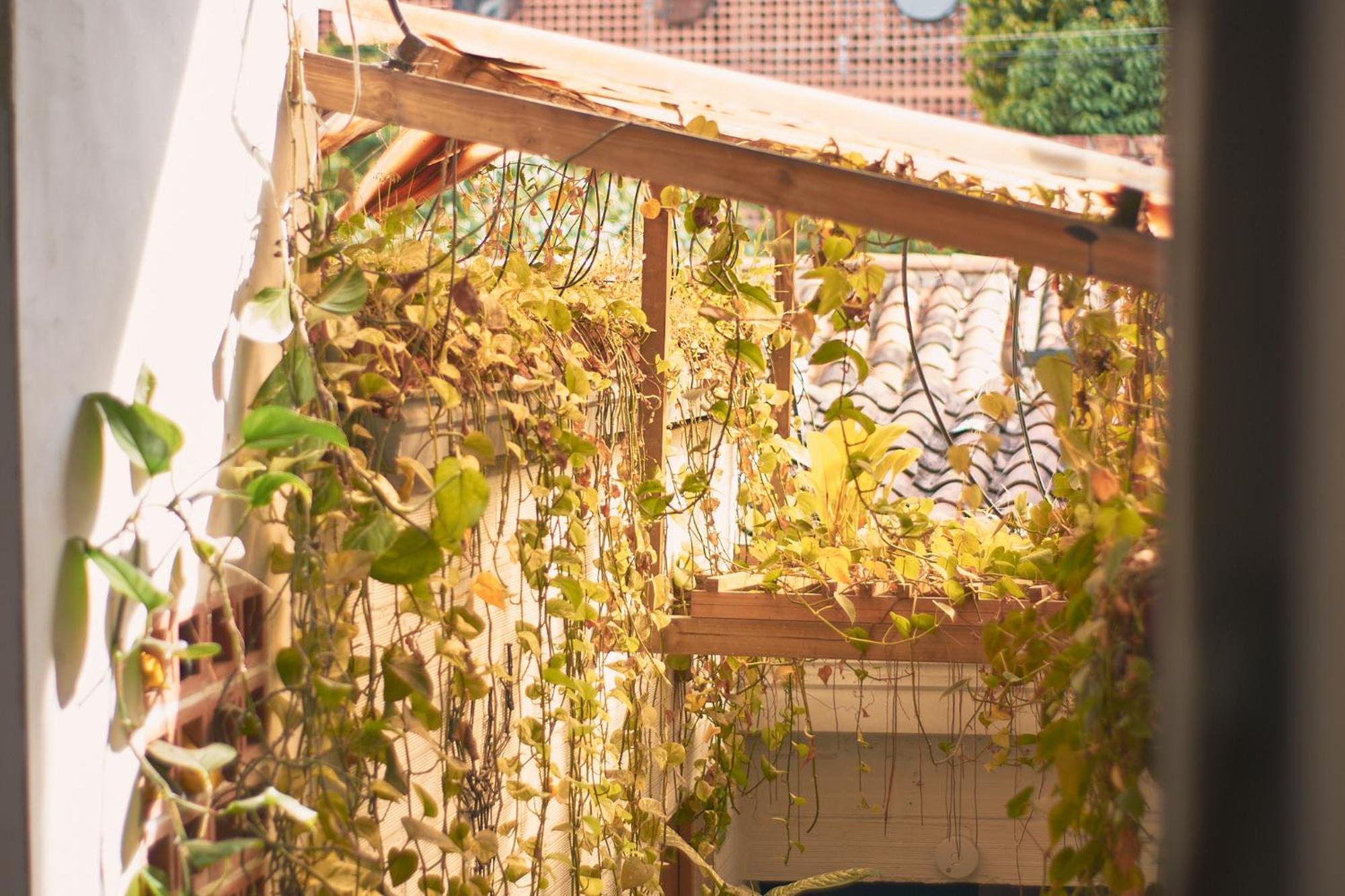 Hostal Casa Estacion Μεντεγίν Εξωτερικό φωτογραφία